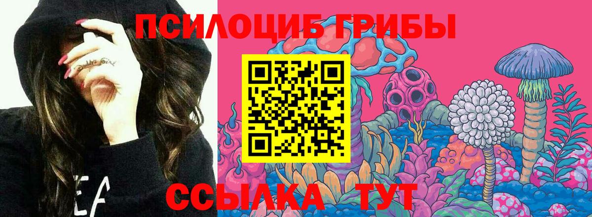Новокузнецк  Псилоцибиновые грибы Magic Shrooms  Вход с VPN 